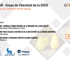 Grupo de Obesidad de la SEEN