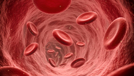 arterias