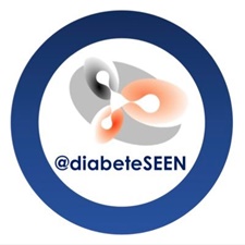 diabeseen logo