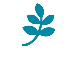 SEEN
