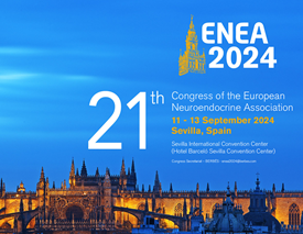 enea 2024