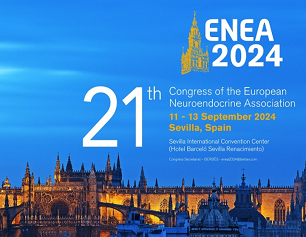 enea 2024