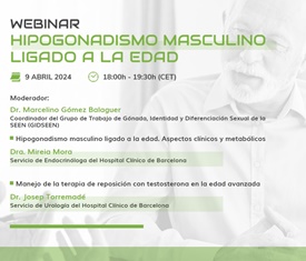Webinar