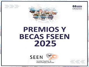 bases premios becas fseen