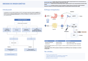 infografía