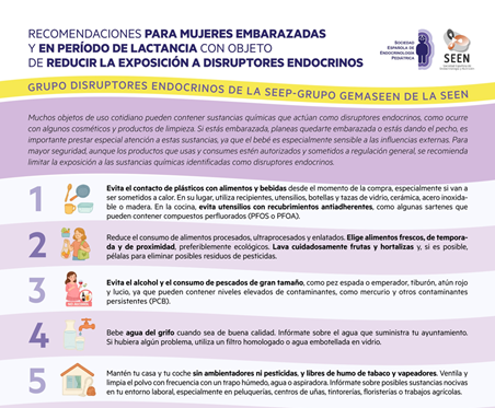 disruptores endocrinos embarazadas y lactancia