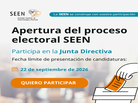 elecciones seen