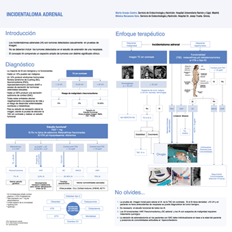 Infografía