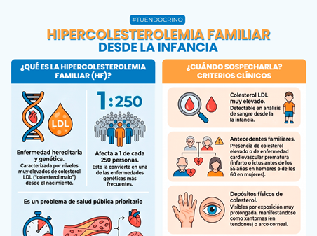 La SEEN reclama cribados de hipercolesterolemia familiar en la infancia