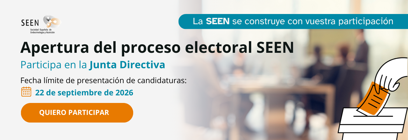 elecciones seen